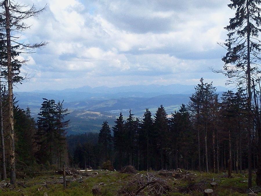 Widoczek na Małą Fatrę