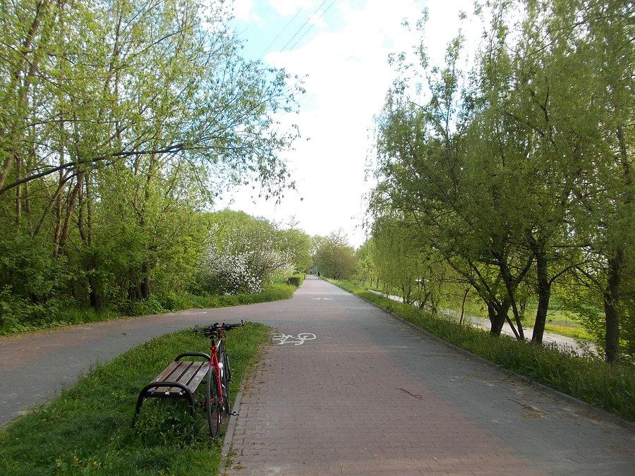 Do pracy w bardzo chłodny poranek