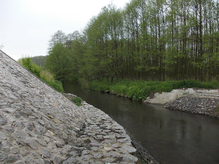 Rzeka Kręzniczanka