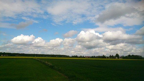 Obłoczki nad polami