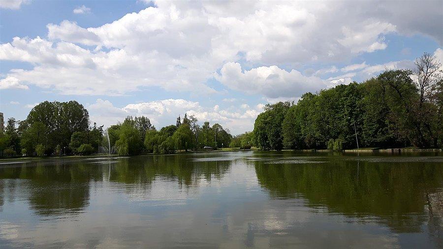 Park i staw w Pruszkowie obok stadionu "Znicza"