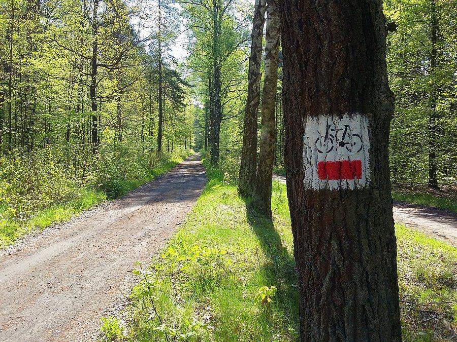 Mógłbym takimi jeździć cały czas