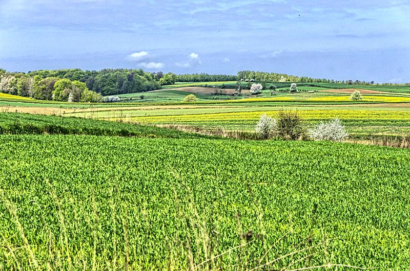 Pofałdowany krajobraz