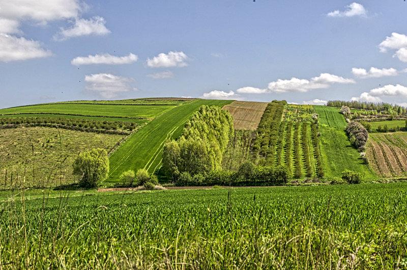 Górki dookoła