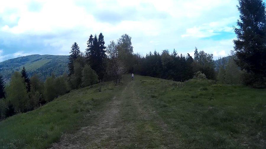 Zielono mi