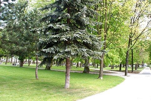 Plac w centrum miasta