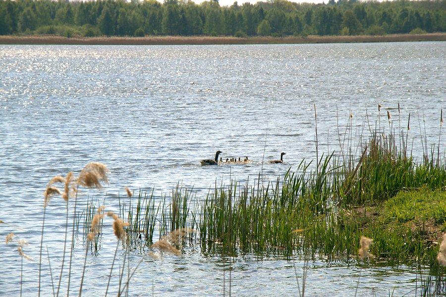 Jezioro Bytowo