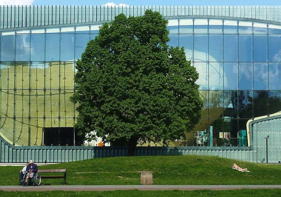 Drzewo przed muzeum Historii Żydów Polskich POLIN. Każdy próbuje złapać trochę słońca