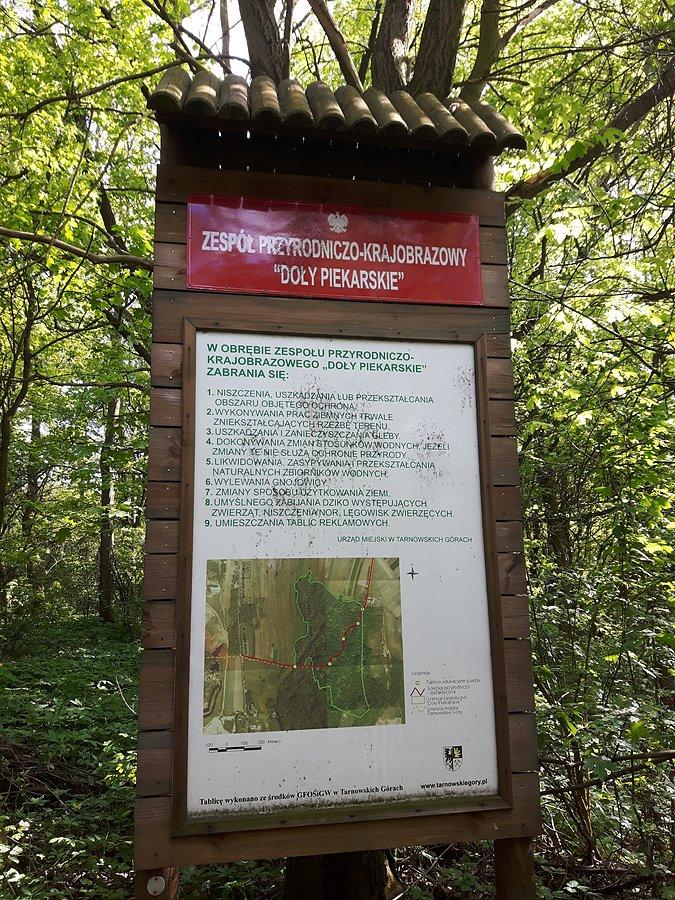 Zespół Przyrodniczo-Krajobrazowy "Doły Piekarskie"