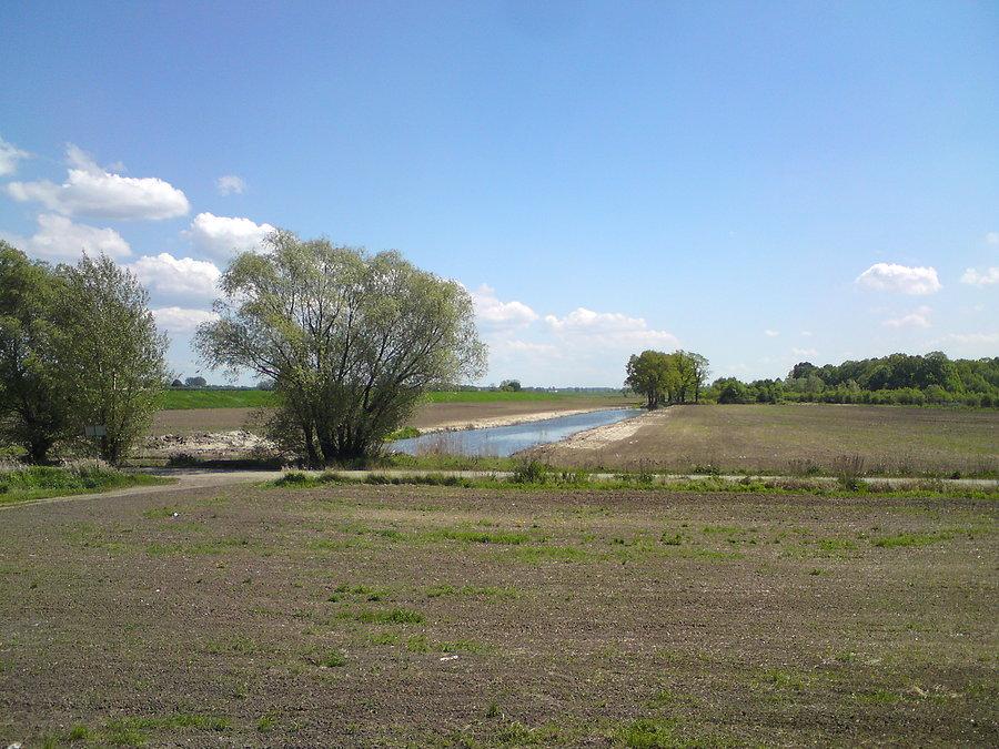 Tereny zalewowe Odry