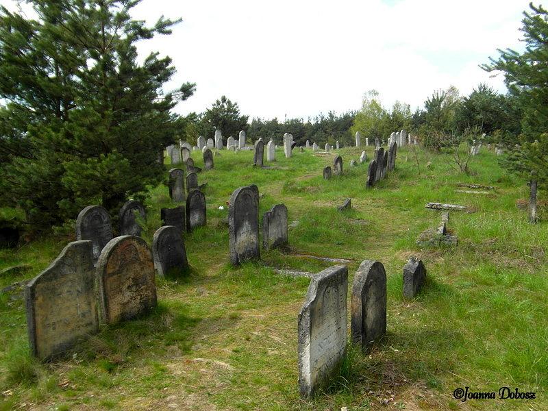 Kirkut w Żarkach