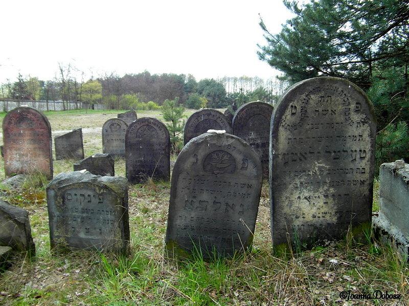 Kirkut w Żarkach