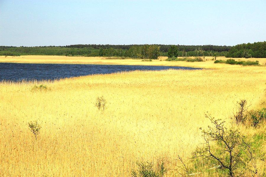 Rezerwat Świdwie