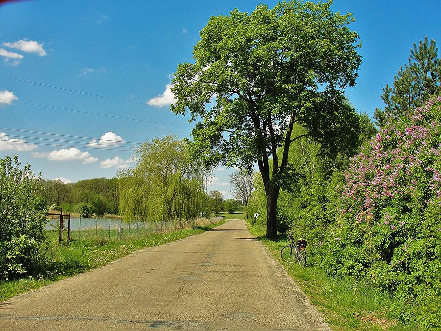 Rowerek - Kociewie wiosną