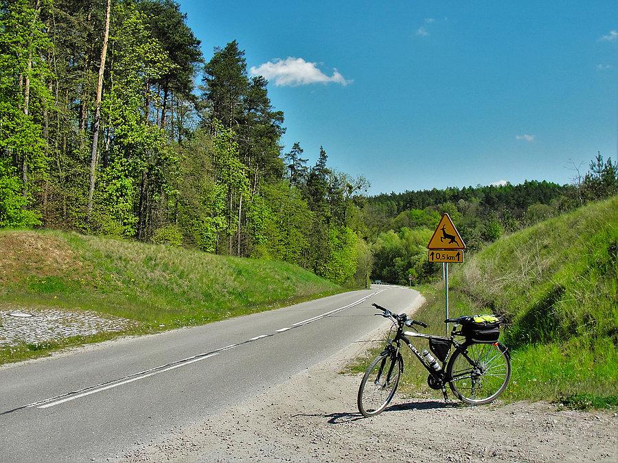 Rowerek - Kociewie wiosną