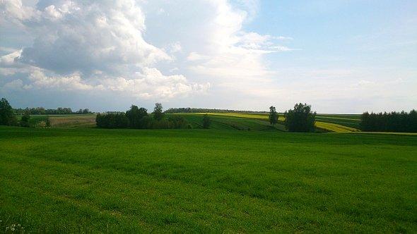 Zielono na polach