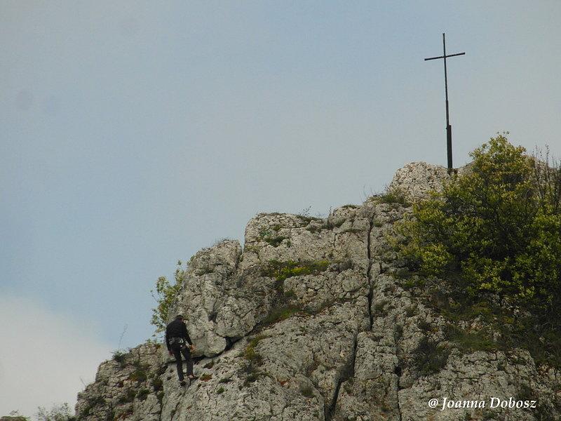 Szlak Orlich Gniazd