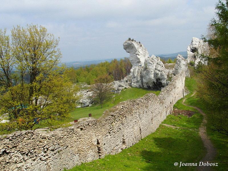 Zamek Ogrodzieniec - Szlak Orlich Gniazd