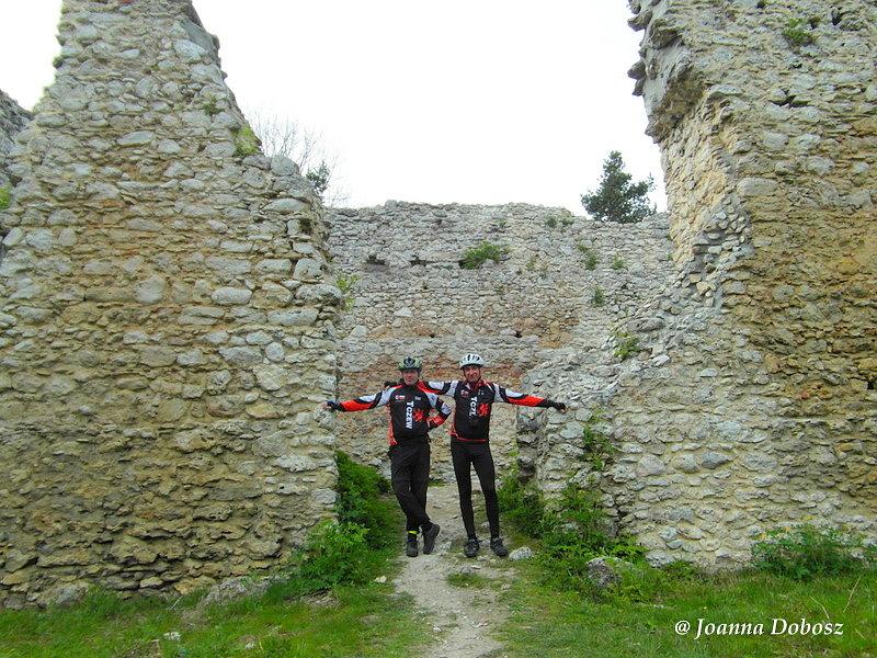 Zamek w Bydlinie