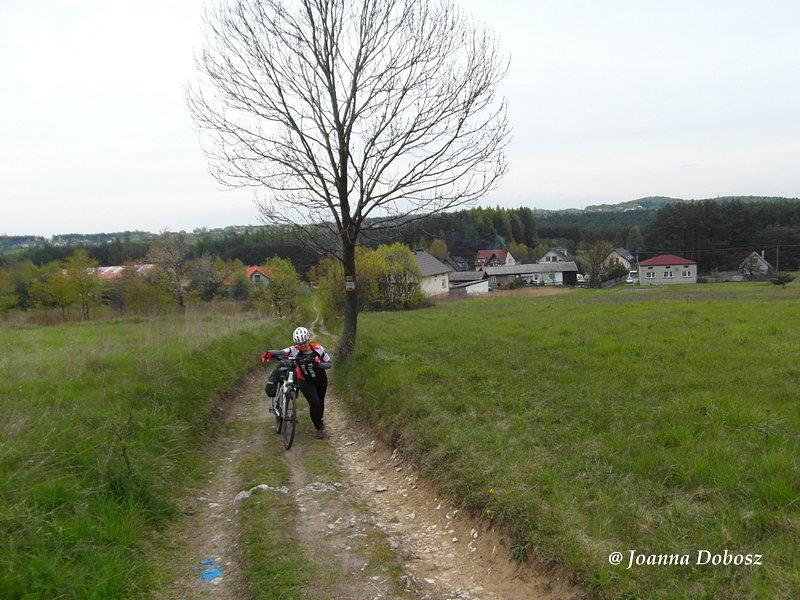 Szlak Orlich Gniazd