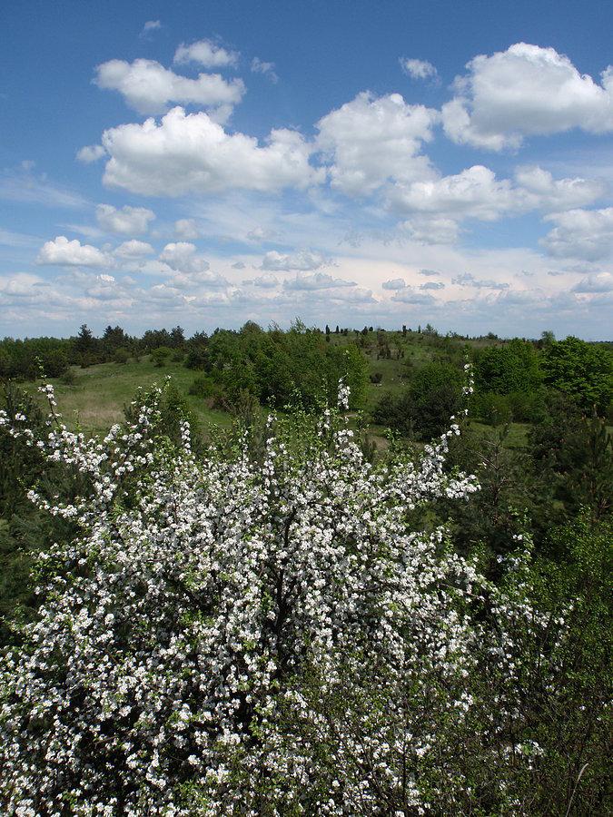 Cudne obłoczki