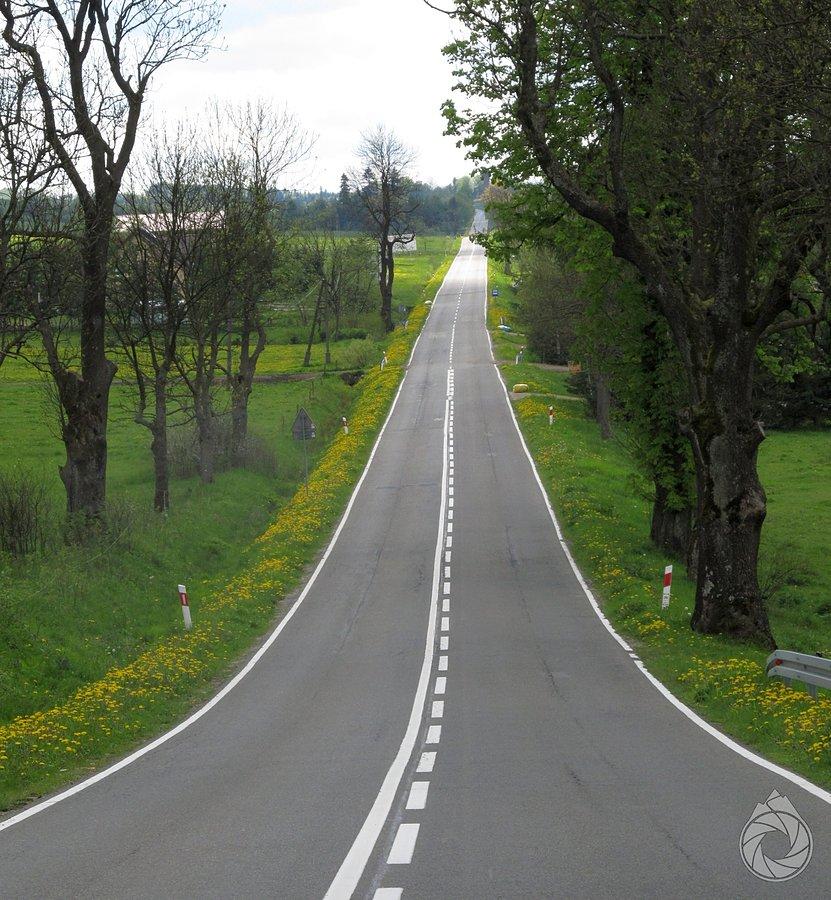 Zdyńska prosta