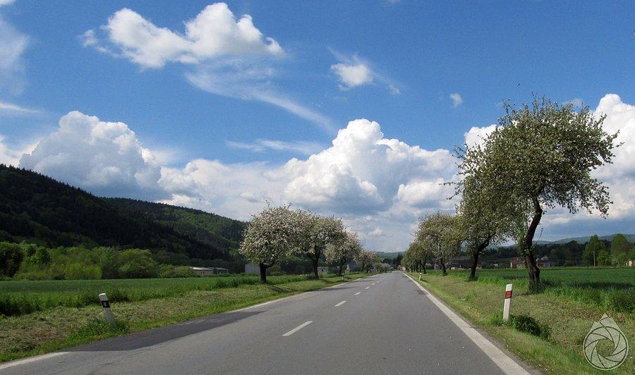 Proste w stronę Tarnova