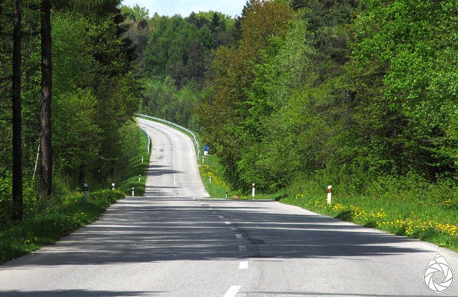 Ostatni, stromy odcinek podjazdu