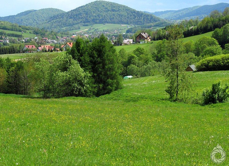 Wiosna pod Pieninami Gorlickimi