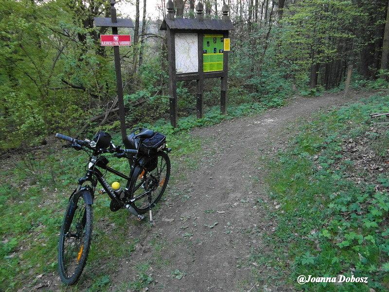 Szczęśliwe przetarganie roweru żółtym szlakiem pieszym - Ojcowski Park Narodowy