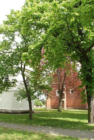 Parafia pw. św. Jana Chrzciciela w Skotnikach