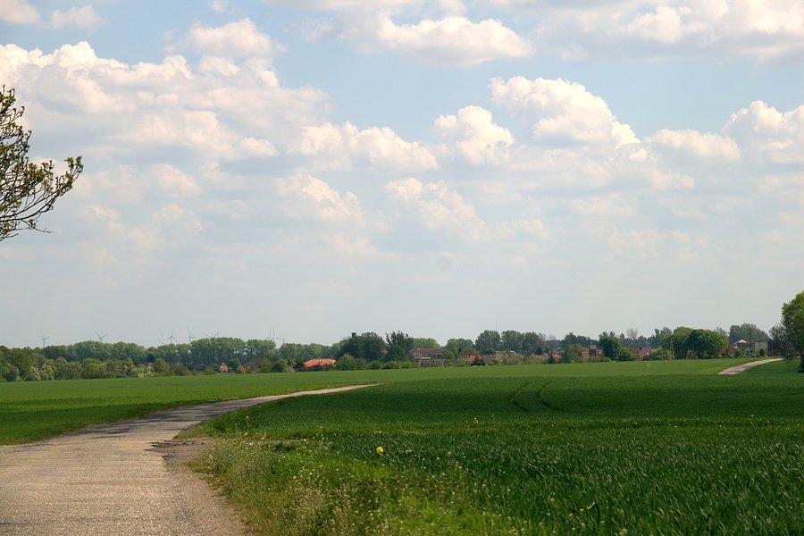 Przede mną Przewłoki
