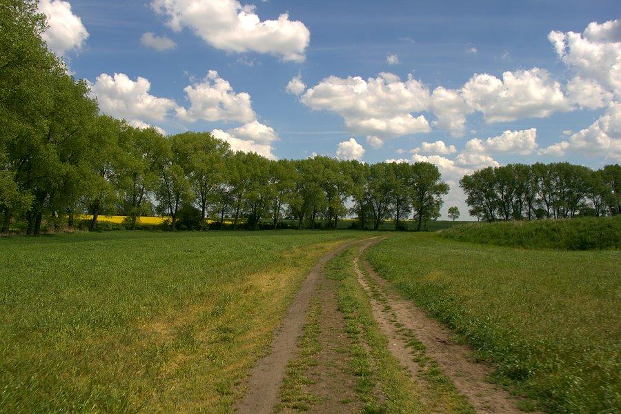 Droga polna która w Strzebielewie mnie skusiła :)