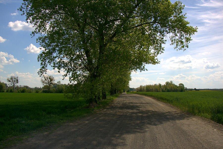 Nareszcie normalna żużlówka
