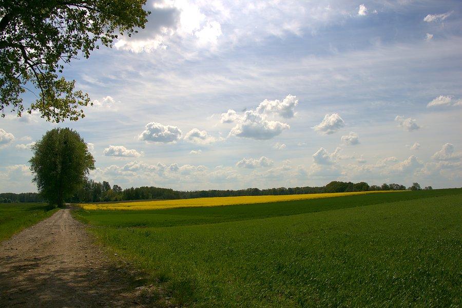 Objeżdżam Kolin od zachodu