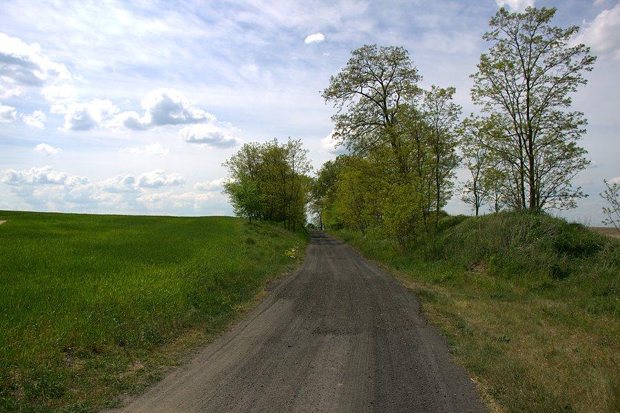 Jednak widząc taką żuzlówkę nie mogę się oprzeć i ruszam właśnie nią
