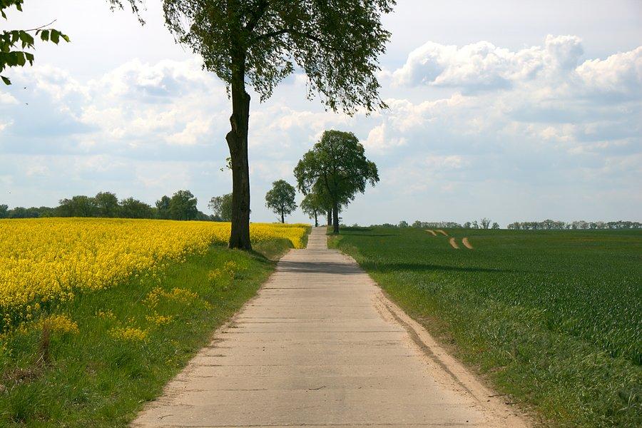 Droga ta potem w betonkę się zmienia :)