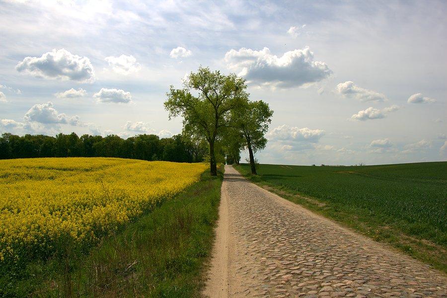 By dalej w brukowaną się zamienić :)