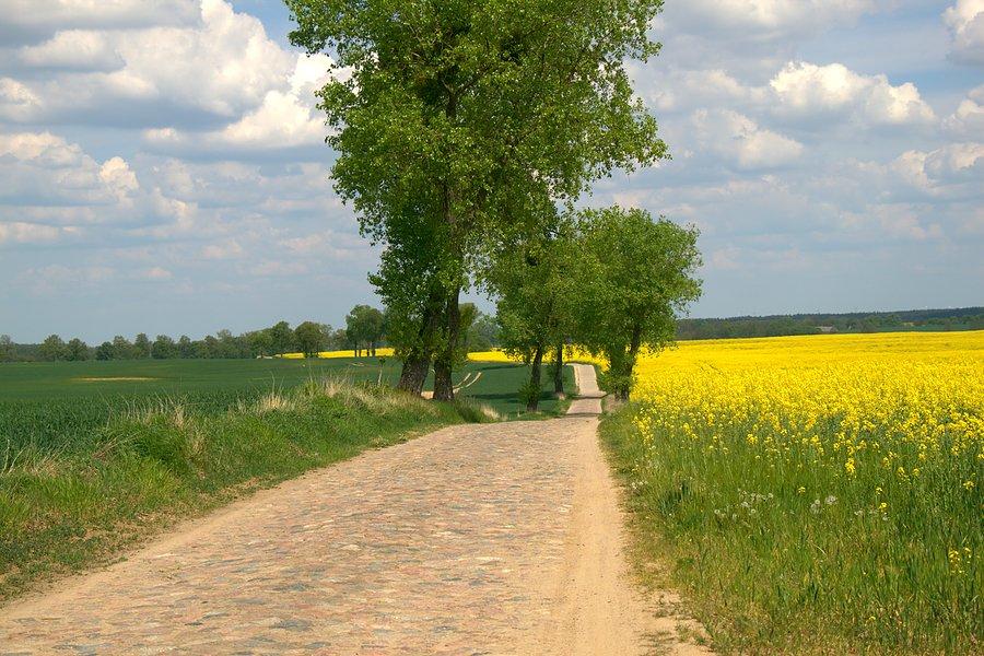 Przydrożne krajobrazy