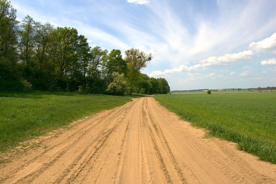 A dalej piaszczystą drogą do Rzeplina