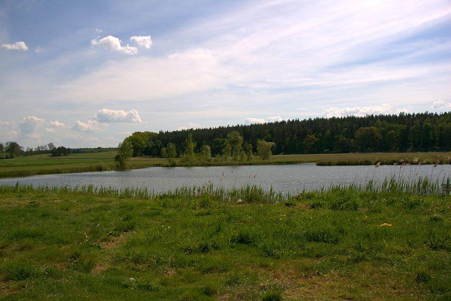 Staw pośród łąk