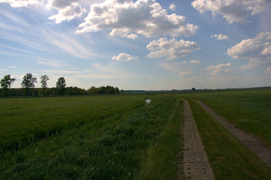 Wzdłuż Kanału Rzeplińskiego