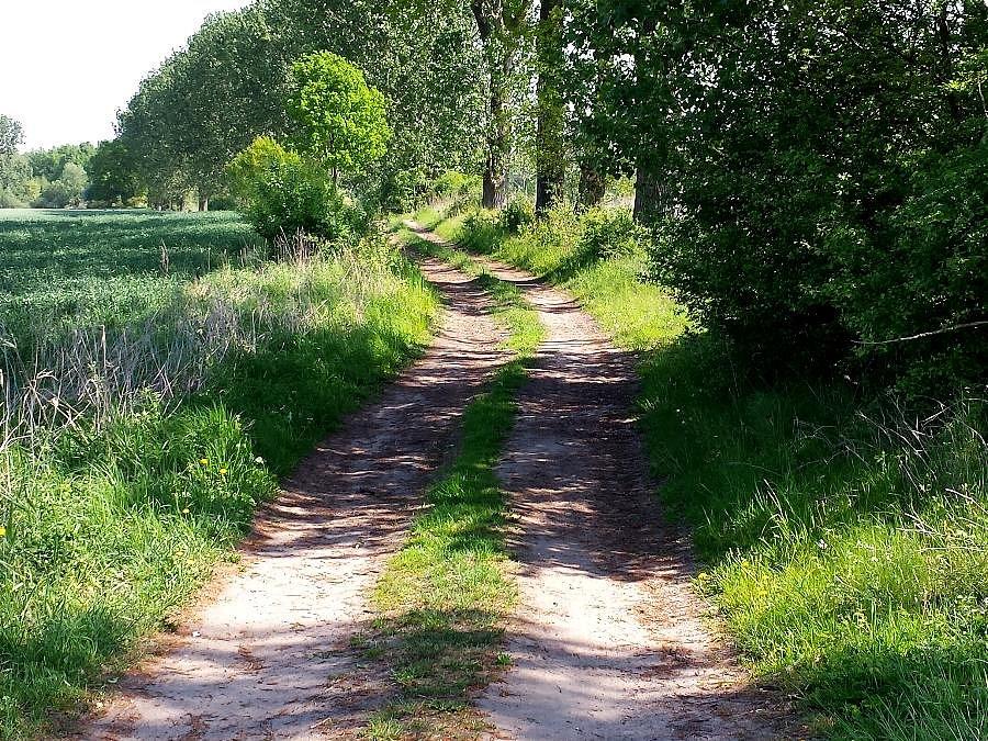 Droga do Barzkowic z Pęzina