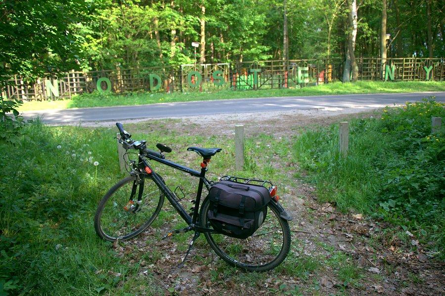 Bergamont przez Parkiem Przyrody pod Grzędzicami