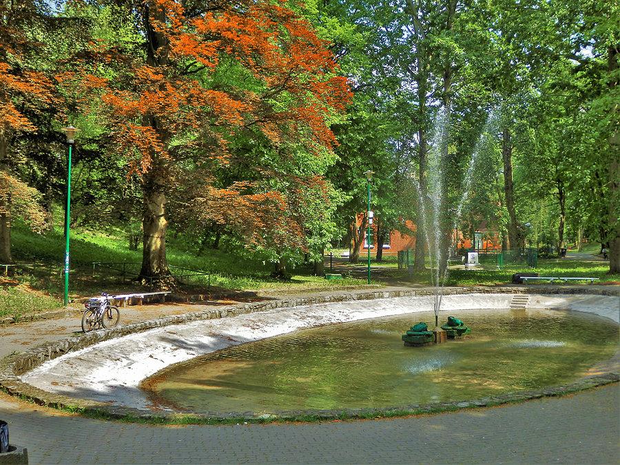 Rowerek - park w Tczewie