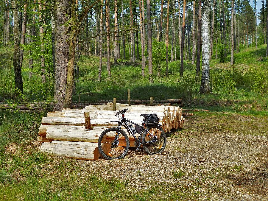 Rowerek - okolice Tczewa