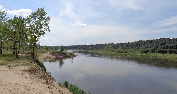 Nadbużańska pustynia