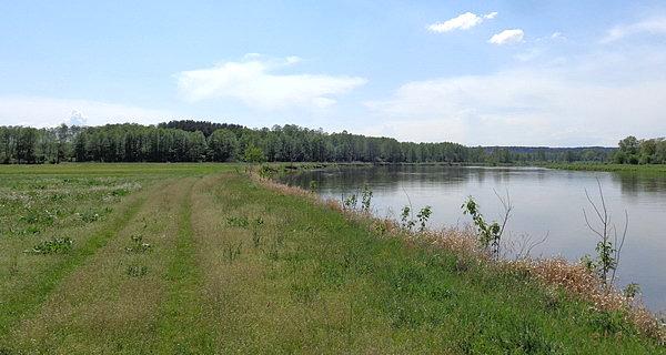 Wzdłuż Bugu w kierunku Serpelic