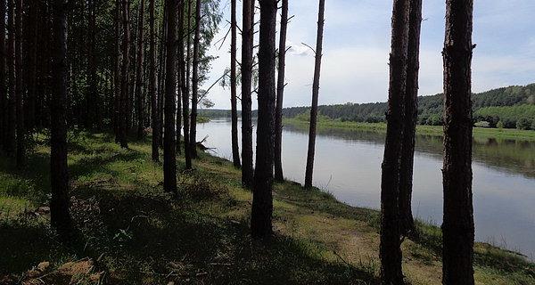 Odrobina cienia w ten upalny dzień