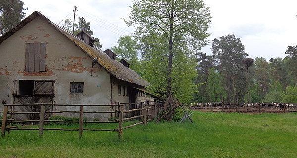 Szlakiem przez gospodarstwo